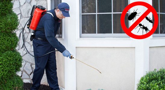 Yıldırım Hamam Böceği İlaçlama böcek ilaçlama ve haşere kontrolü — ilaclama-tr.com